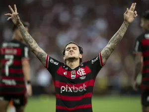 Flamengo campeão com méritos e sobras