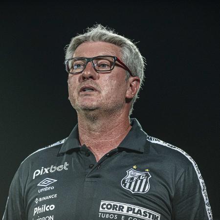 Odair Hellman admite pior atuação e pede desculpas ao torcedor do Santos -  Diário do Peixe