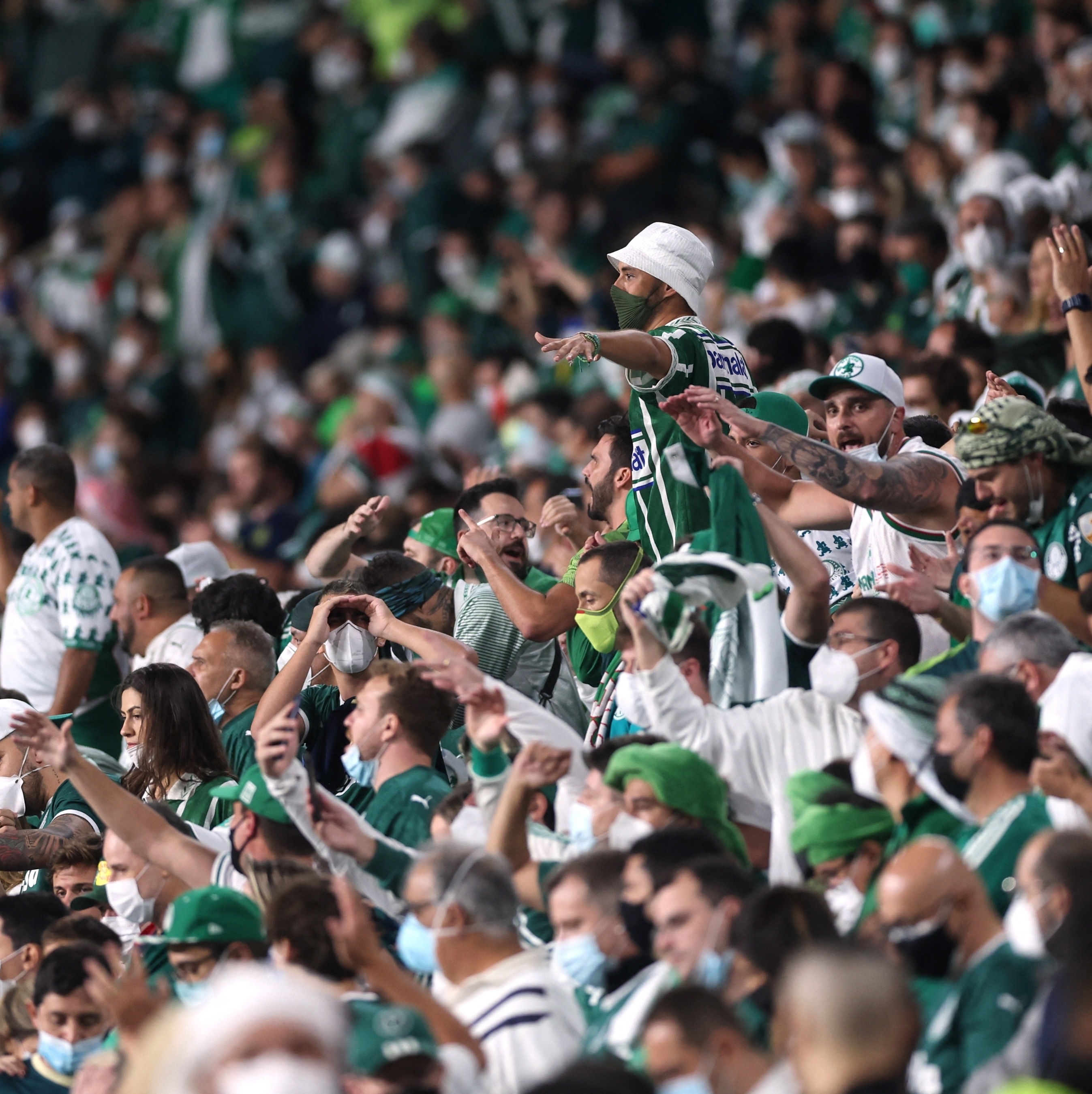 Torcedor Árabe kkk (Torcedor no Catar) cantando PALMEIRAS NÃO TEM