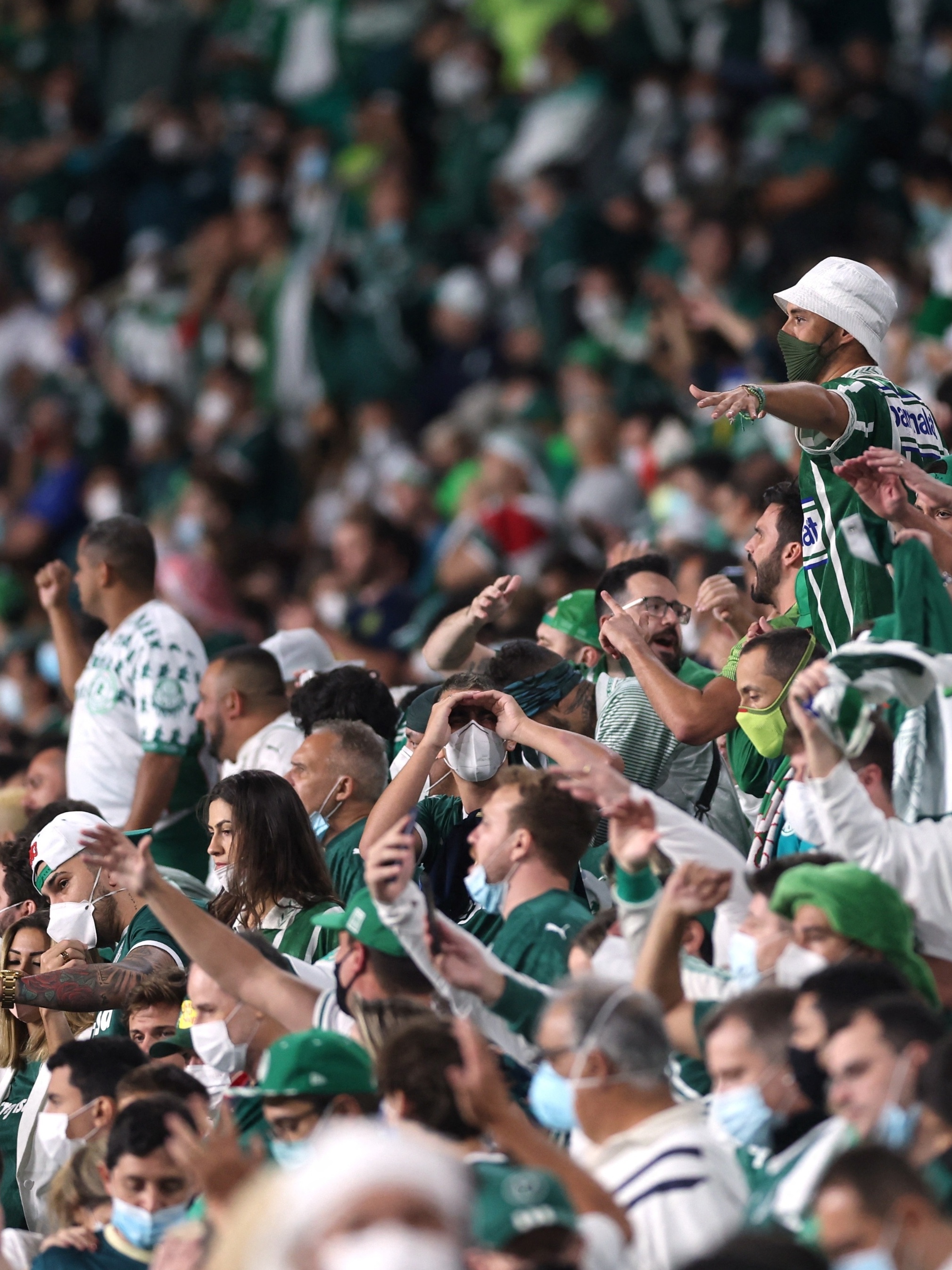 Palmeiras Tem Mundial???. ., by Mathew R Dos Santos