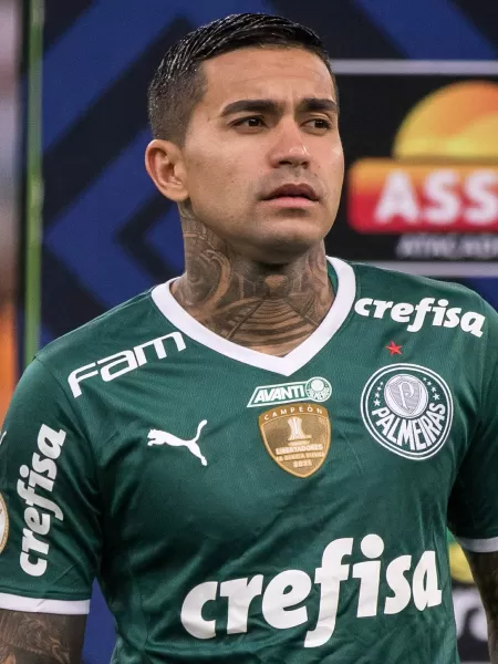 Palmeiras pode contar com retorno de Dudu ao Brasileirão para manter vivo  sonho de título - Esportes - R7 Lance