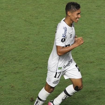Vinicius Balieiro comemora gol marcado pelo Santos Vinicius Balieiro comemora gol marcado pelo Santos