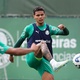 De folga no fim de semana, Palmeiras treina infiltração e posicionamento