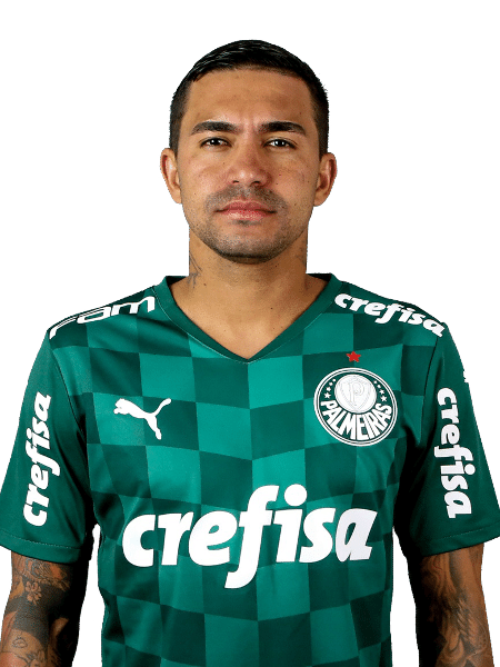 Dudu, atacante do Palmeiras - Divulgação/Site oficial do Palmeiras