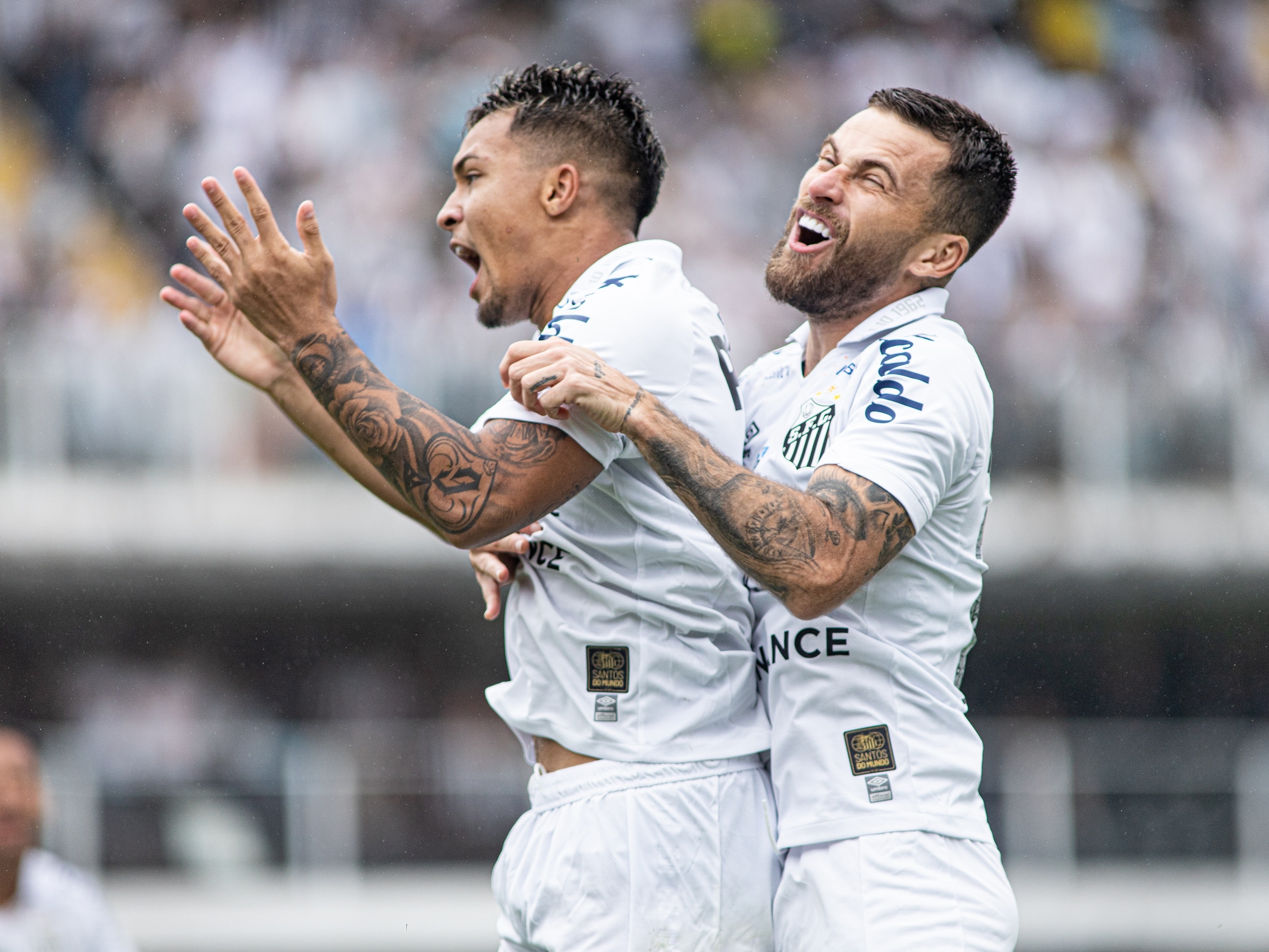 Como assistir Blooming x Santos online e ao vivo? Veja transmissão -  04/04/2023 - UOL Esporte