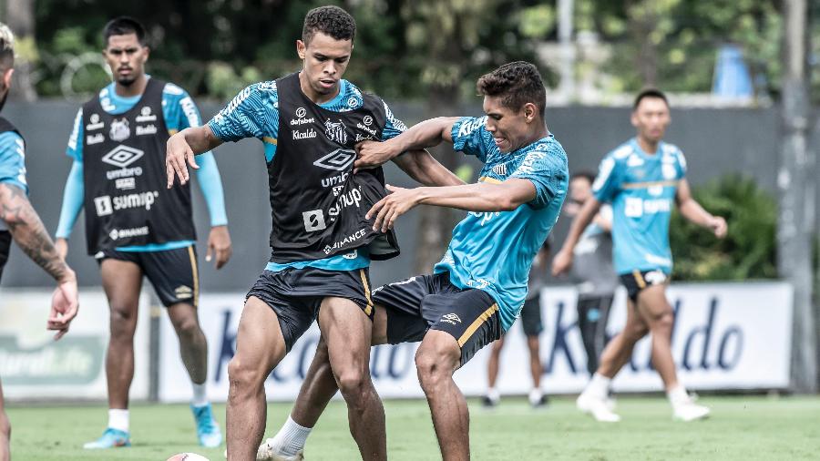 Jogadores do Santos em atividade - Ivan Storti/Santos FC