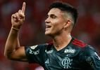 Jogo do Flamengo hoje: horário e onde assistir ao vivo - Luiz Erbes/AGIF