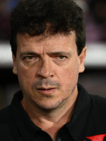 Fernando Diniz comanda o Vasco - Luis ROBAYO / AFP