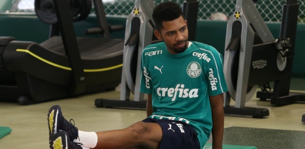 Matheus Fernandes se destacou no Botafogo e foi contratado pelo Palmeiras - Cesar Greco/Ag. Palmeiras/Divulgação