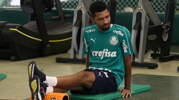Matheus Palmeiras - Cesar Greco/Ag. Palmeiras/Divulgação - Cesar Greco/Ag. Palmeiras/Divulgação