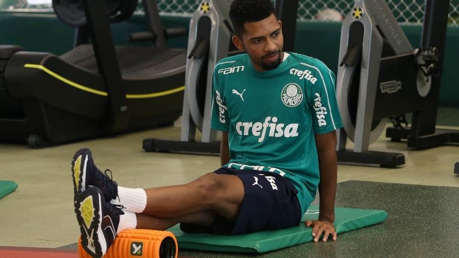 Aos 21 anos, Matheus Fernandes é observado pelo Barcelona desde os tempos de Botafogo - Cesar Greco/Ag. Palmeiras/Divulgação