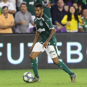 Cesar Greco/SE Palmeiras