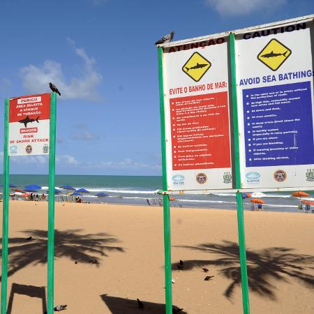 Placas espalhadas pela praia de Boa Viagem, em Recife, que sinalizam o perigo do ataque de tubarões - Leo Caldas/Folhapress