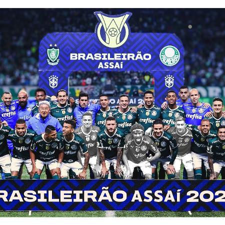 Palmeiras campeão brasileiro - foto do elenco