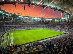 Transmissão ao vivo de Bahia x Atlético-MG: veja onde assistir