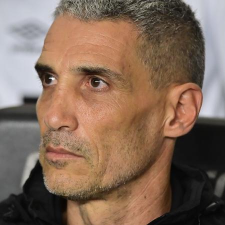 Juan Pablo Vojvoda, técnico do Santos, durante jogo contra o São Paulo no Brasileirão