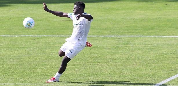 Promessa camaronesa é regularizada e fica à disposição de Abel no Palmeiras