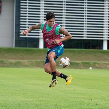 Pedro treina com bola no Ninho do Urubu, CT do Flamengo - Alexandre Vidal/Flamengo