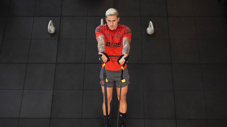 Atacante Pedro se exercita na academia do Ninho do Urubu, CT do Flamengo; Atacante na mira do Palmeiras - Alexandre Vidal/Flamengo