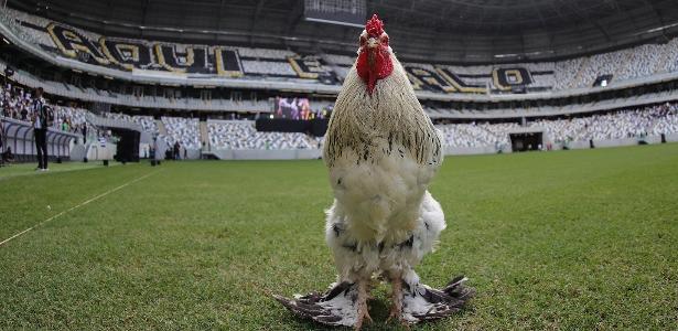 Dívida do Atlético-MG: entenda perfil de endividamento do Galo