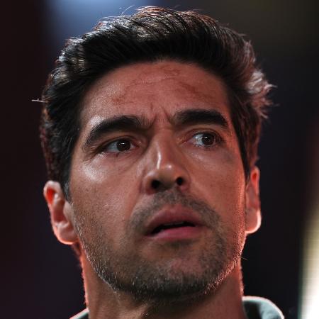 "Lutamos até o final, mas a partida foi decidida em detalhes", disse técnico do alviverde - DAN MULLAN/Getty Images via AFP