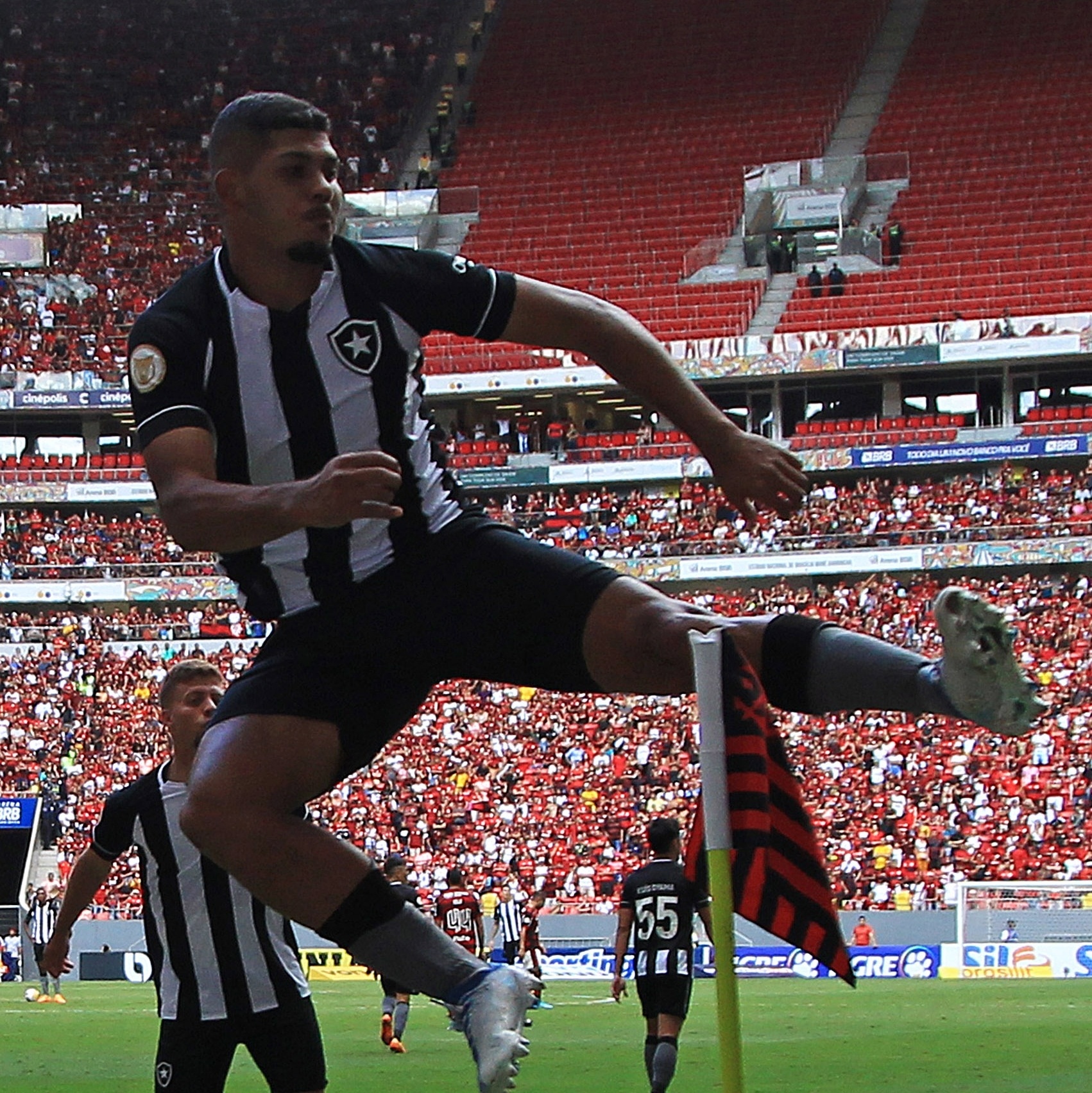 Botafogo vence o Flamengo no Mané e aumenta instabilidade no rival