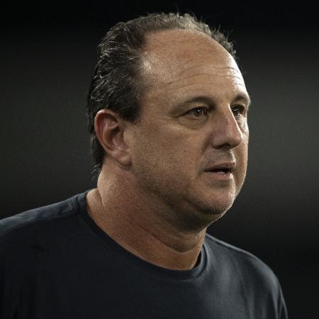 Rogério Ceni, técnico do Bahia, durante jogo contra o Botafogo