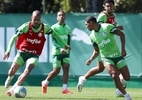 Com Mayke de volta, Palmeiras inicia preparação para decisão da Copa do Brasil - Cesar Greco/Palmeiras