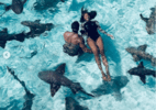 Astro da NFL Russell Wilson e cantora Ciara nadam com tubarões no México - Reprodução 