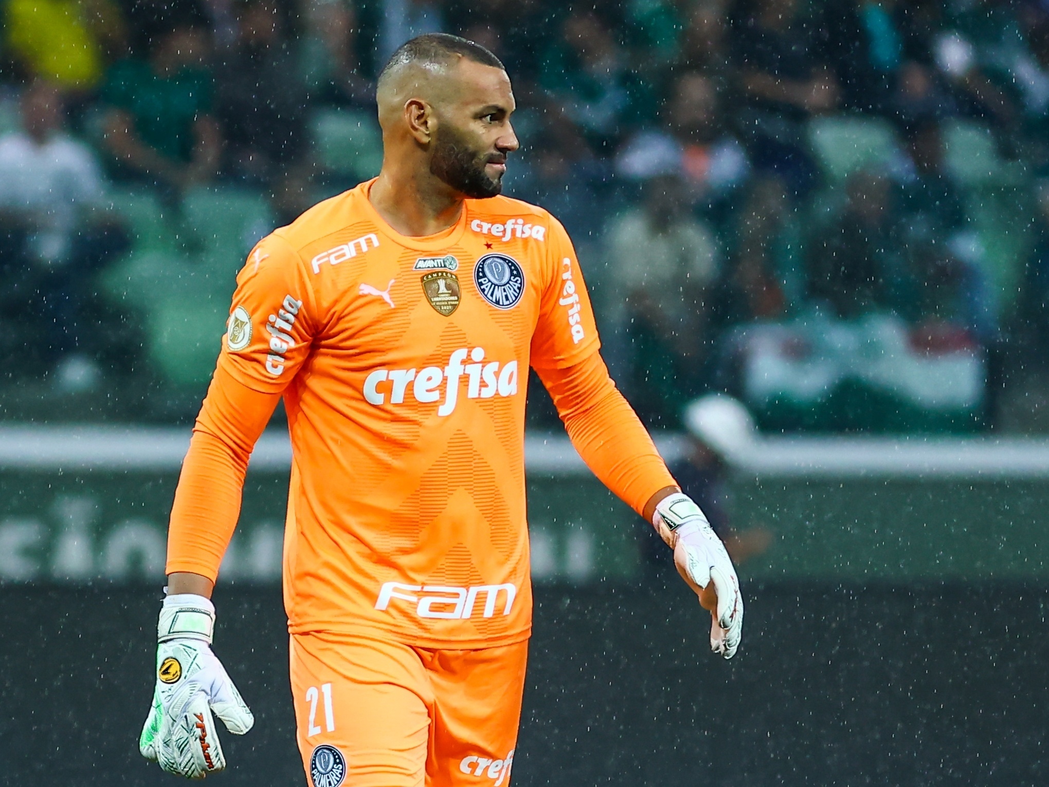 Goiás 1×1 Palmeiras Brasileiro 2022 R02. Empate no fim em jogo tumultuado -  3VV