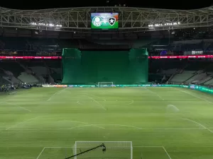 Palmeiras x Botafogo tem torcedores sem visão para campo; entenda situação