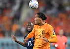 Holanda empata com o Equador, mas encaminha vaga no mata-mata da Copa - Raul ARBOLEDA / AFP