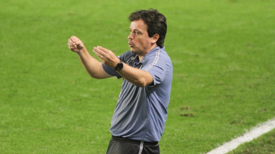 Fernando Diniz acha que gol do Santos já é fruto de sequência de treinos - Fernanda Luz/AGIF