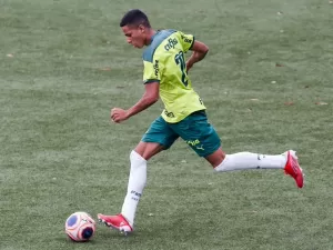 Fabio Menotti / Ag. Palmeiras