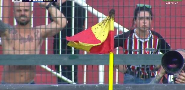 Brasileirão | Jogo SP x Fortaleza é paralisado por enxame de vespas no escanteio