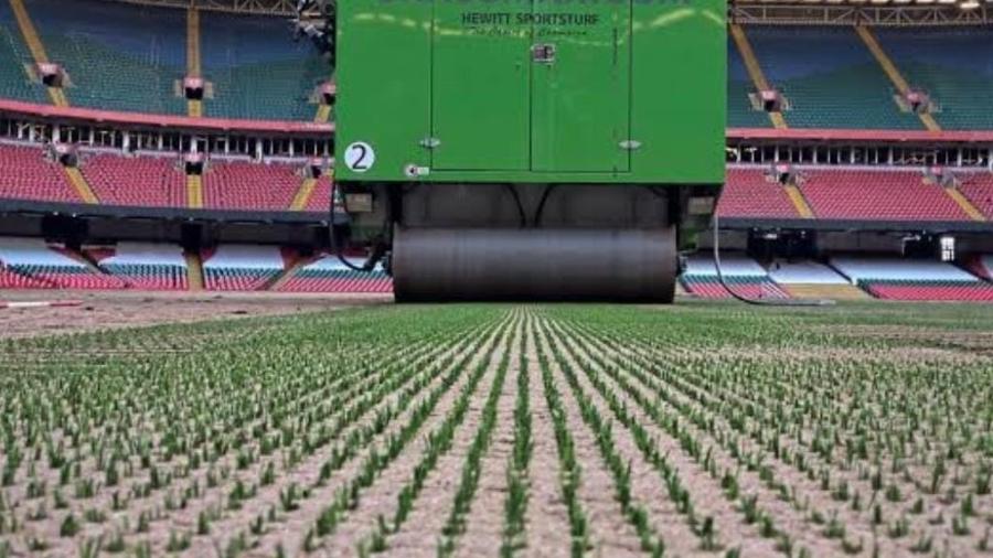 A empresa que fornece o gramado híbrido foi a mesma que fará o piso do estádio da final da Copa do Mundo de 2022 - Reprodução