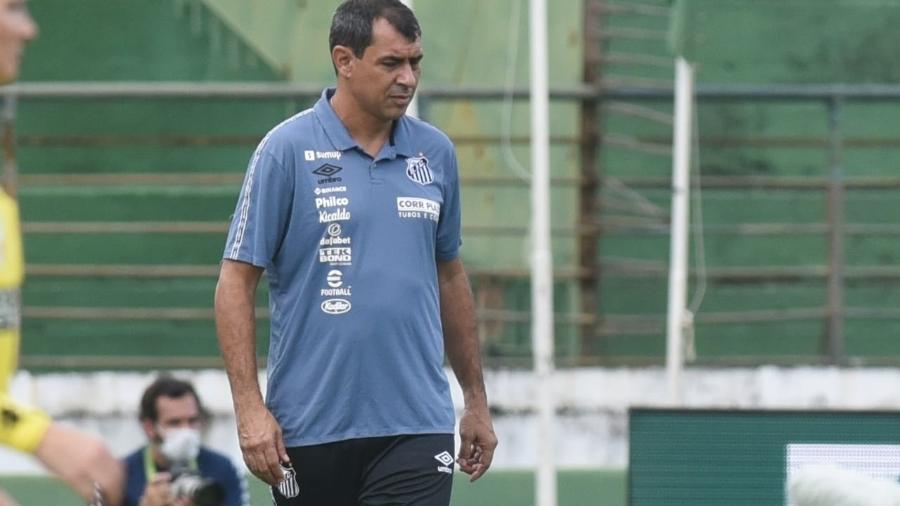 Fábio Carille lamentou queda de rendimento do Santos na etapa final contra o Guarani - Ivan Storti/Santos FC