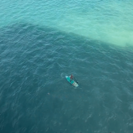 Fã usou um stand up paddle para chegar perto do navio