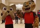 Bélgica chega ao Qatar e é recebida por torcedores e mascote; veja - Reprodução