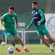 Palmeiras: Aníbal faz parte do treino e é dúvida para oitavas do Mundial