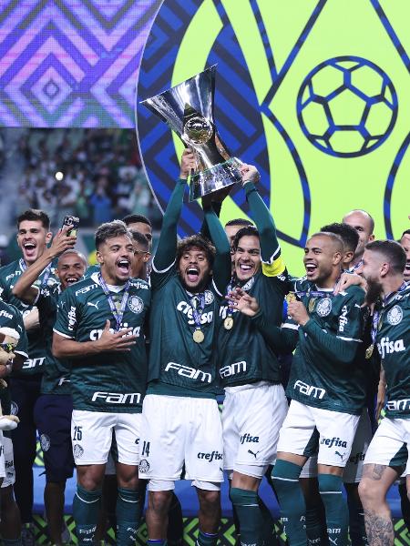 Palmeiras é campeão da Copa do Brasil com vitória sobre o Grêmio - NSC Total