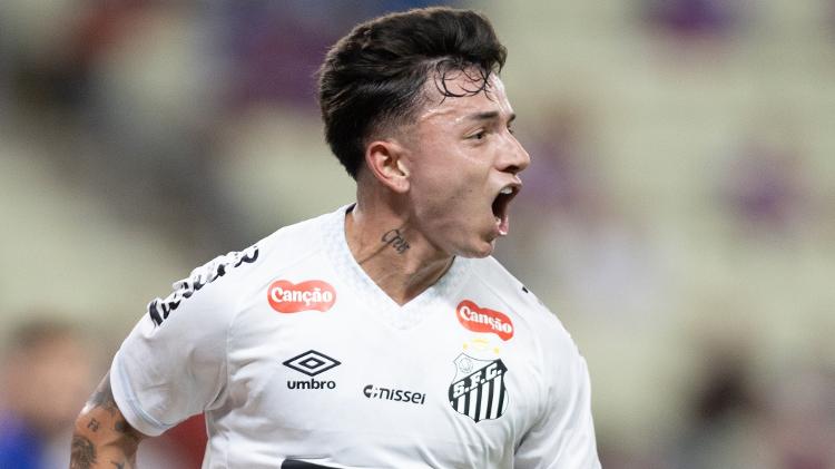 Barreal comemora gol marcado pelo Santos contra o Fortaleza no Brasileirão Barreal comemora gol marcado pelo Santos contra o Fortaleza no Brasileirão