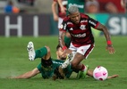 Diferença entre Flamengo e 