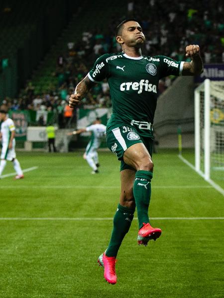 Dudu comemora gol pelo Palmeiras contra o Guarani em seu jogo de número 300 pelo Palmeiras - Daniel Vorley/AGIF