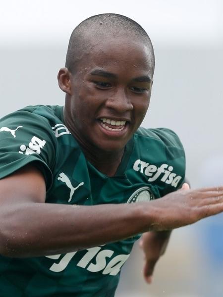 Endrick, joia da base do Palmeiras - Reprodução/Twitter