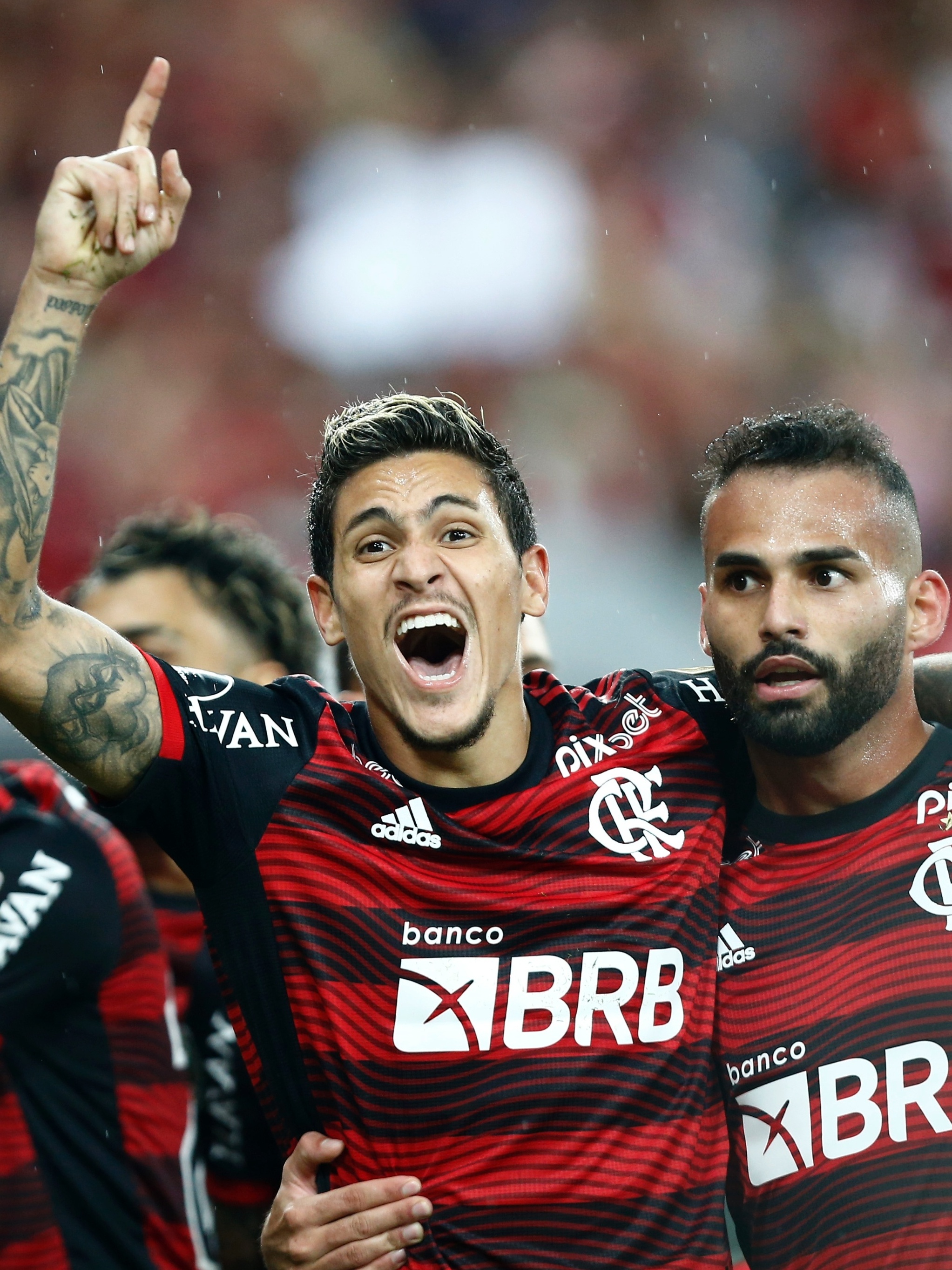 Flamengo, Corinthians e Palmeiras no mata-mata da Libertadores: veja como  ganhar dinheiro em qualquer cenário apostando na Bet365 e outras  plataformas – Money Times