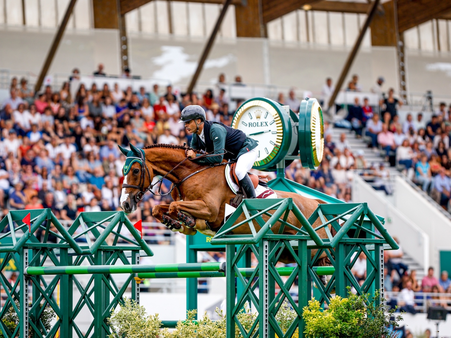 cavalo pulando, concorrência, obstáculo, saltar, esporte