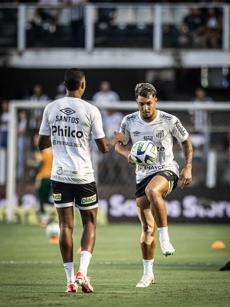 Marcos Leonardo usa proteção no joelho no Santos
