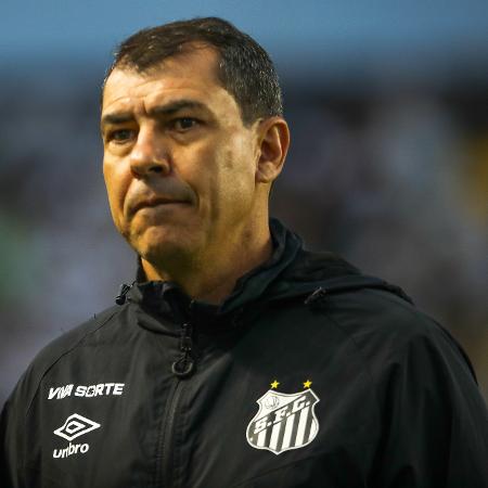 Fábio Carille, técnico do Santos, durante jogo pela Série B do Brasileirão - Reinaldo Campos/AGIF