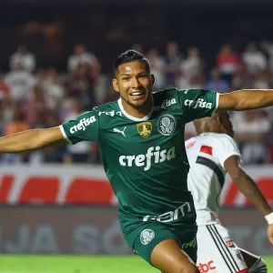 SP - Sao Paulo - 03/30/2022 - PAULISTA 2022, SAO PAULO X PALMEIRAS - Sao  Paulo player Calleri celebrates his goal with players from his team during  a match against Palmeiras at
